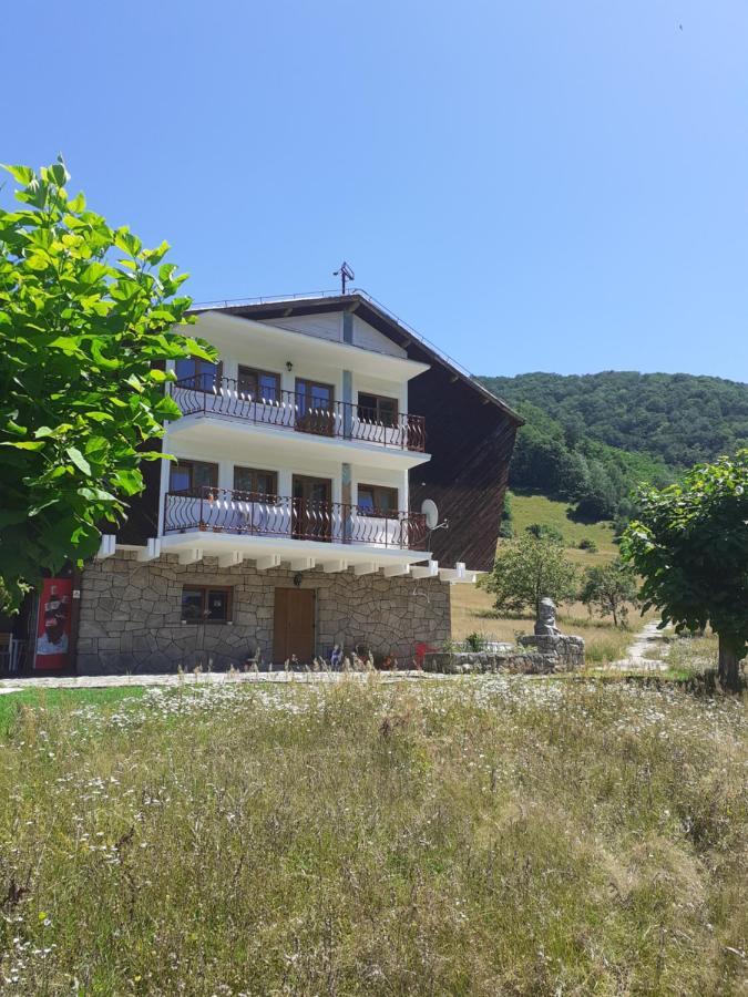 Pensiunea Costesti Exterior photo