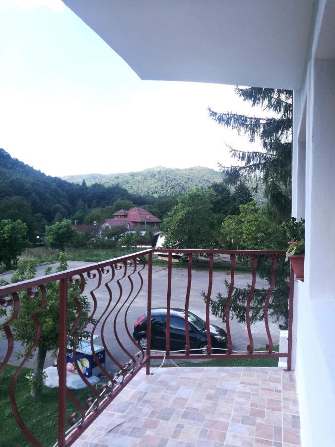 Pensiunea Costesti Exterior photo